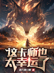 卡牌小说