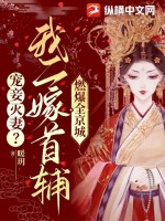 二嫁娇妾小说