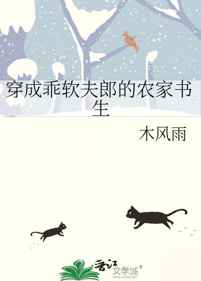 穿成乖软夫郎的农家书生百度网盘
