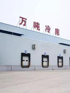 四合院之开局娶了余莉