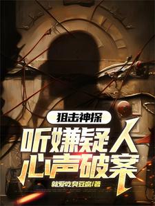 听刑侦小说