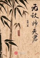 帅无敌小说