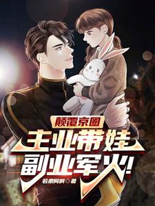 老婆大明星,我在家带娃玩军火小说