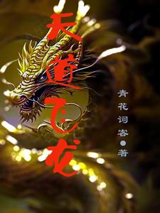 小说天道龙皇