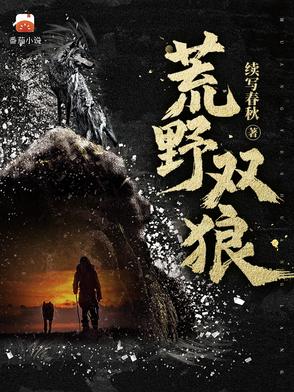 荒野双狼小说在线阅读无弹窗