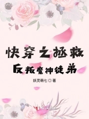 快穿之拯救反派的小说