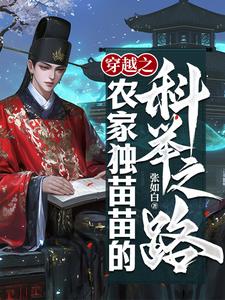 穿越之农家独苗苗的科举之路小说讲什么