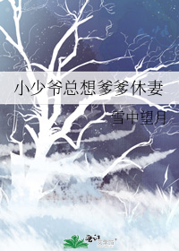 小少爷总想爹爹休妻