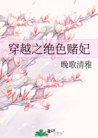 穿越之绝色赌妃