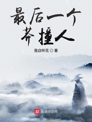 最后一个莽撞人小说