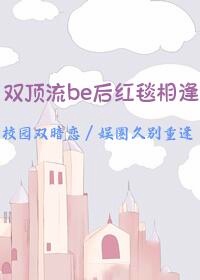 惊双顶流be后红毯相逢了免费阅读