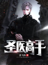 圣医高手洛飞扬