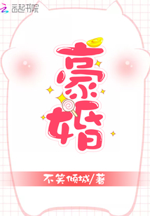 豪婚:我是怎样嫁入豪门的 小说