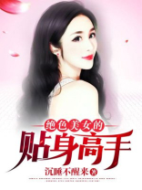 美女的贴身高手等级
