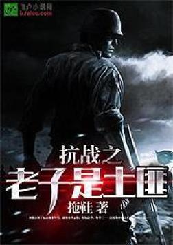 抗战之老子是超级土匪免费阅读