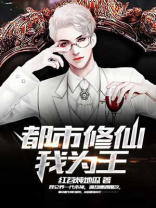 都市我为王 小说