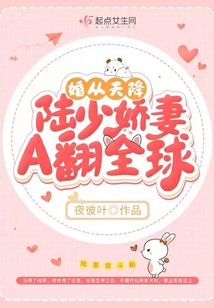 婚从天降:陆少请关照