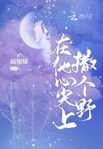 在他的心尖撒野