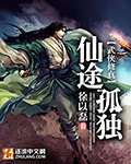 仙途孤独 小说