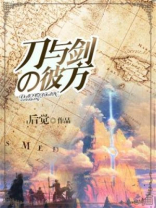 刀与剑的彼方好看吗