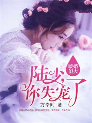 暖婚入骨,陆少宠妻太甜蜜