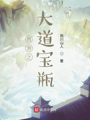 西游之大道宝瓶小说