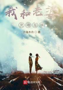 我和老婆灵魂互换的小说