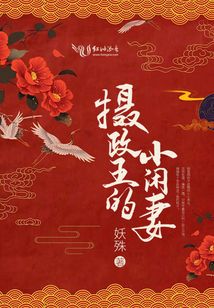 摄政王的小闲妻小说