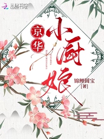 京华小厨娘txt