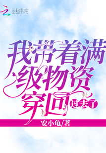 我带着满级物资回到过去