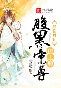 最强丹师 小说百科