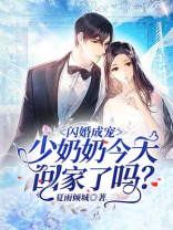 闪婚成宠:少奶奶今天回家了吗?