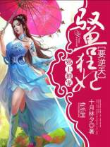 邪王独宠御兽妃