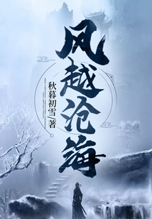 风越沧海小说