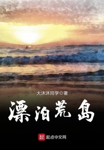 漂泊孤岛生存的小说