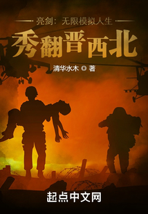 亮剑无限模拟人生秀翻晋西北txt