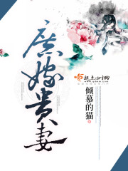 庶女贵妾 小说