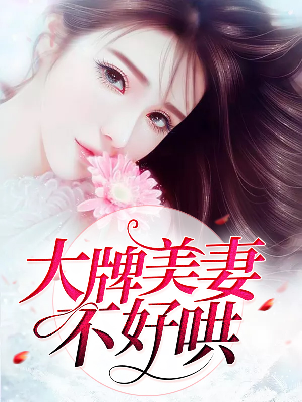大牌美妻不好哄小说