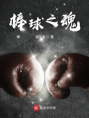 职业棒球之魂