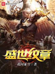 盛世华章 小说