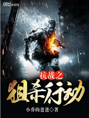 抗日之狙杀行动小说