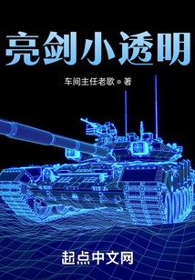 亮剑小透明TXT下载