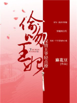 王爷,偷你没商量
