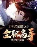 王者荣耀之全职高手 君莫疯 小说