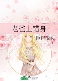 老爸上错身作者:睡包少女