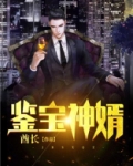 鉴宝神婿