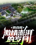 四合院:激情澎湃的岁月(大脑斧喔)