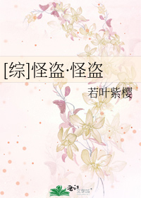 [综]怪盗·怪盗