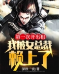 出租司机和女总裁小说
