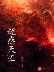 超火天王小说